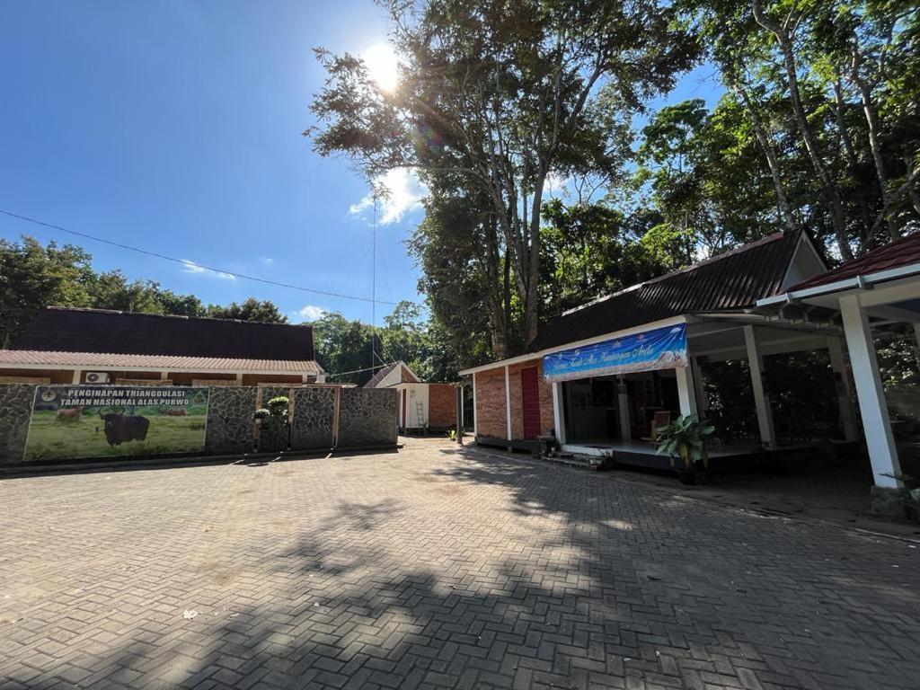 Capital O 92612 Penginapan D'Alas Purwo & Beachnearpadang Savana Sadengan Баньювангі Екстер'єр фото