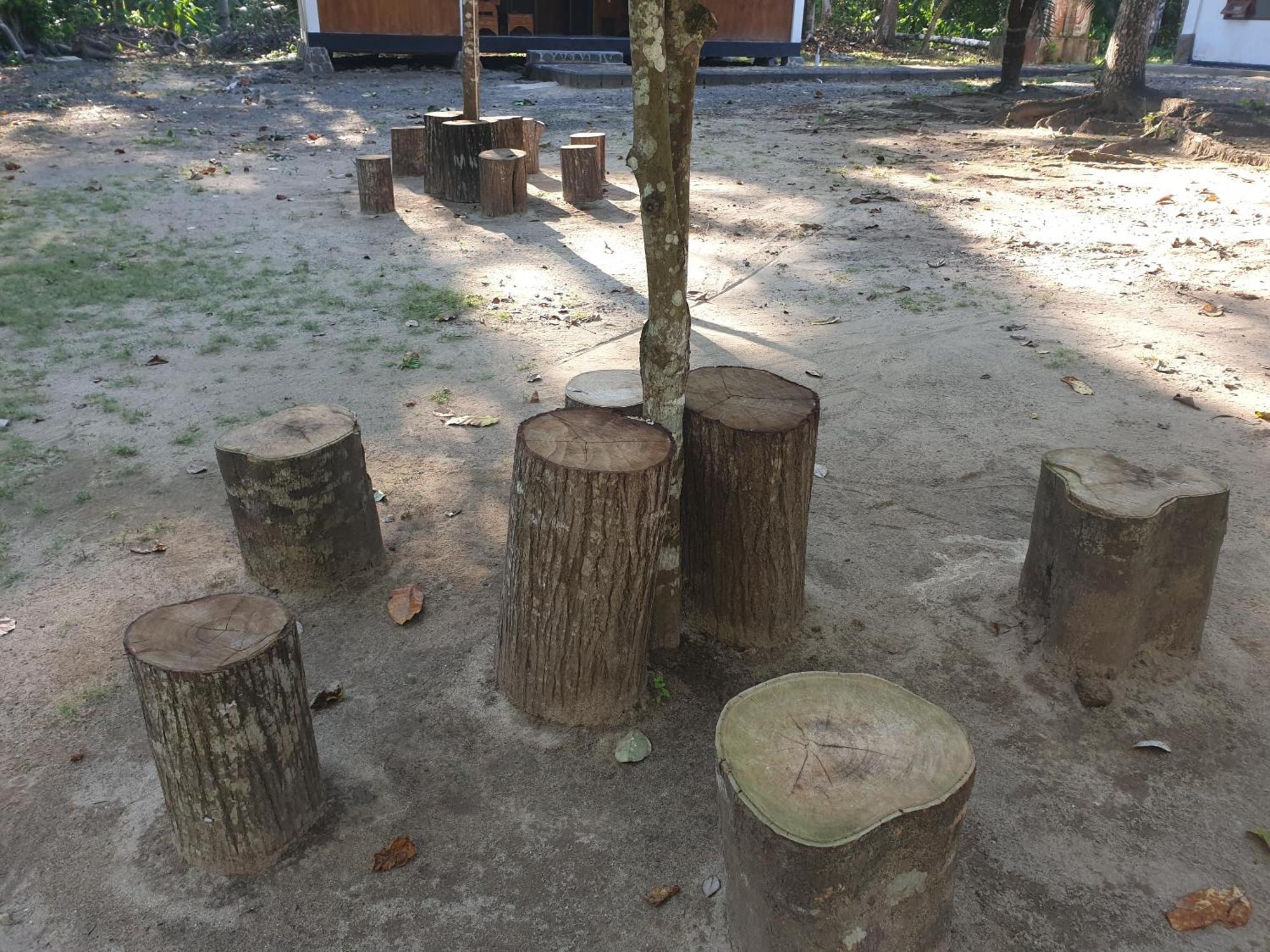 Capital O 92612 Penginapan D'Alas Purwo & Beachnearpadang Savana Sadengan Баньювангі Екстер'єр фото