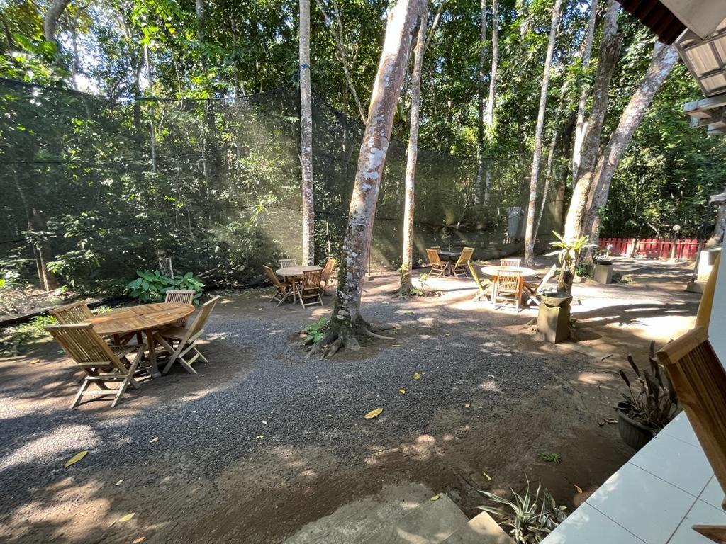Capital O 92612 Penginapan D'Alas Purwo & Beachnearpadang Savana Sadengan Баньювангі Екстер'єр фото